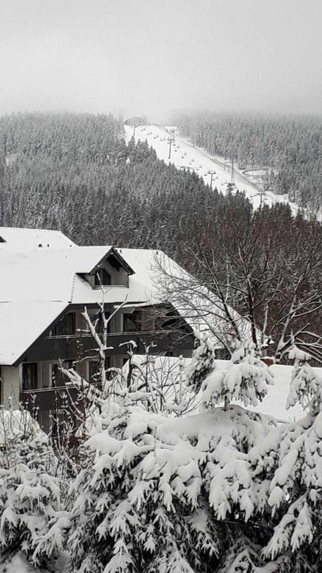 Ferienwohnung Steffens Hahnenklee Wohnung 25 Goslar Exterior foto